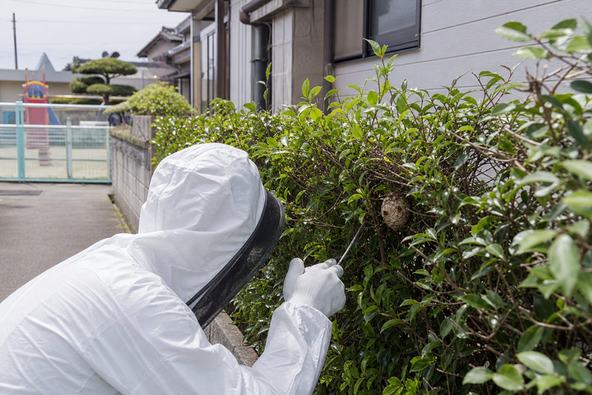 あま市上萱津の保育園隣接住宅でアシナガバチ駆除作業中