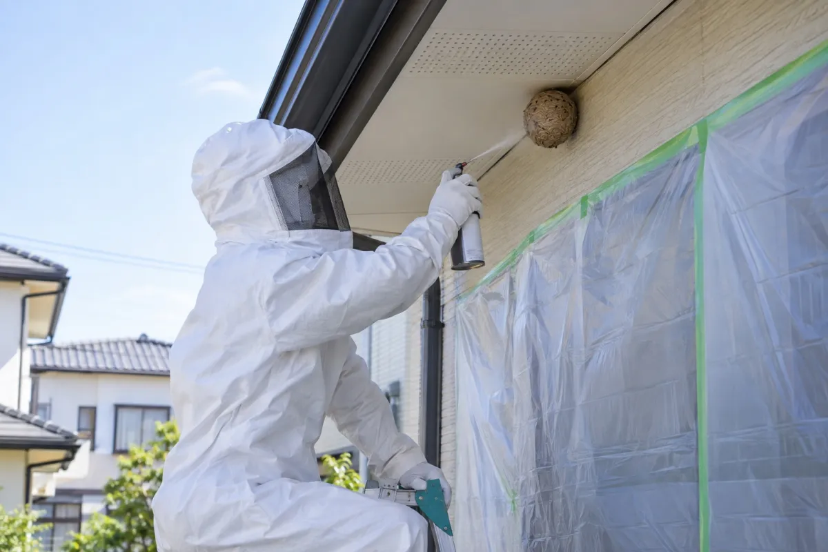 あま市石作の新築一戸建てでキイロスズメバチ駆除作業中