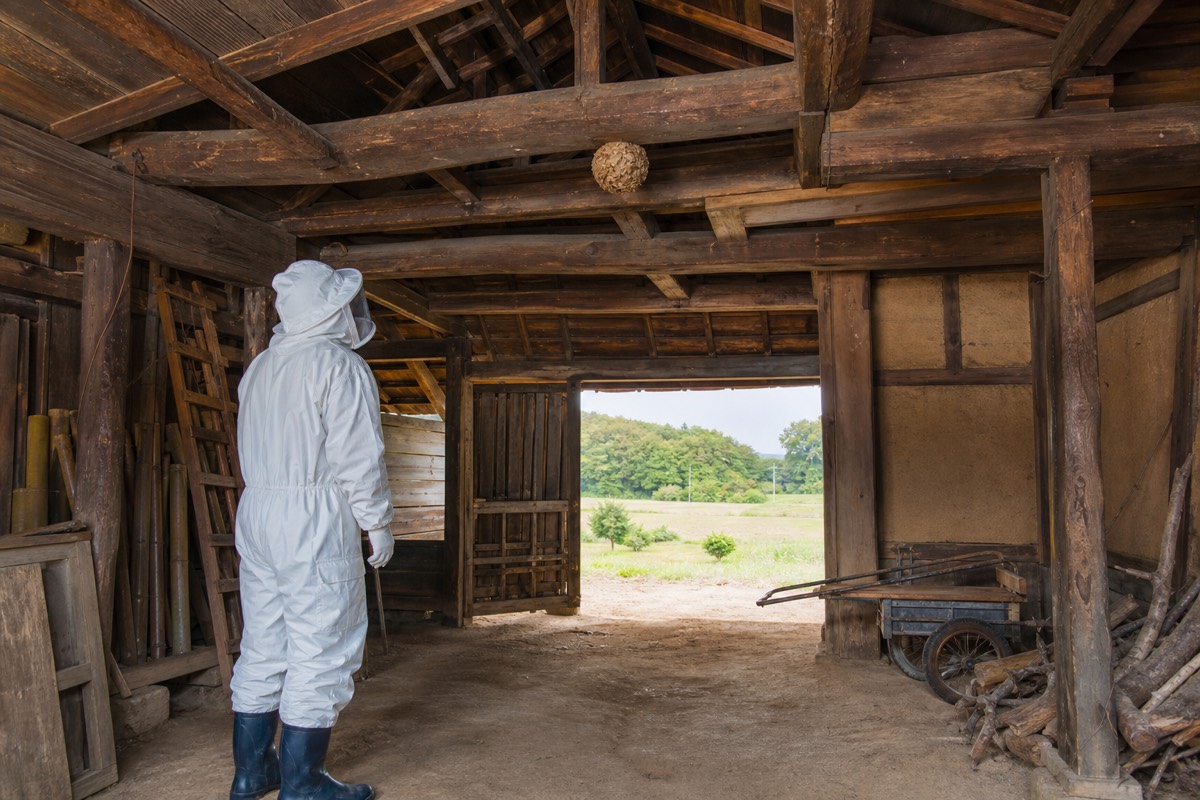 知多市大草の農家住宅でミツバチ駆除作業中