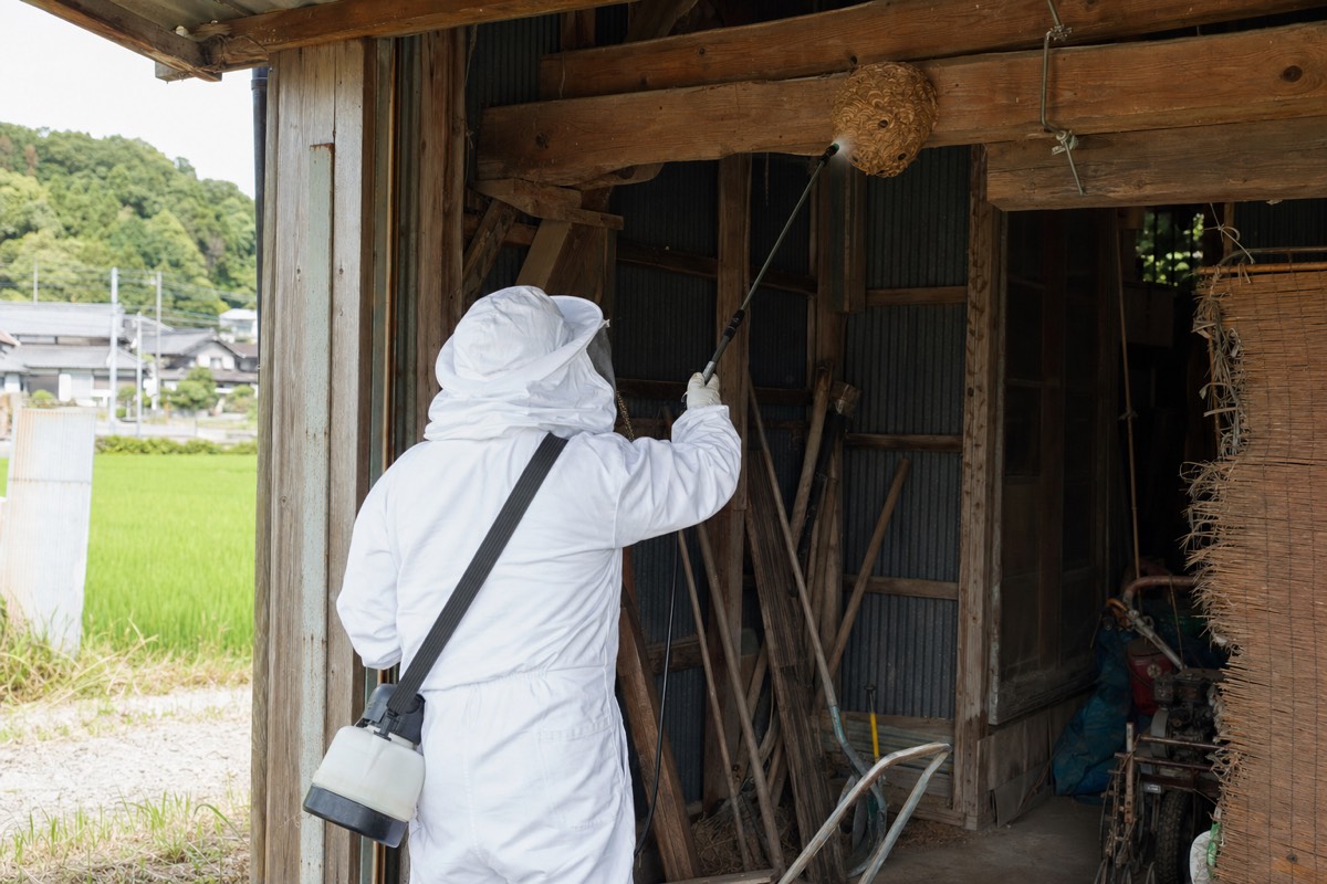 知多市大興寺の農地隣接住宅でオオスズメバチ駆除作業中