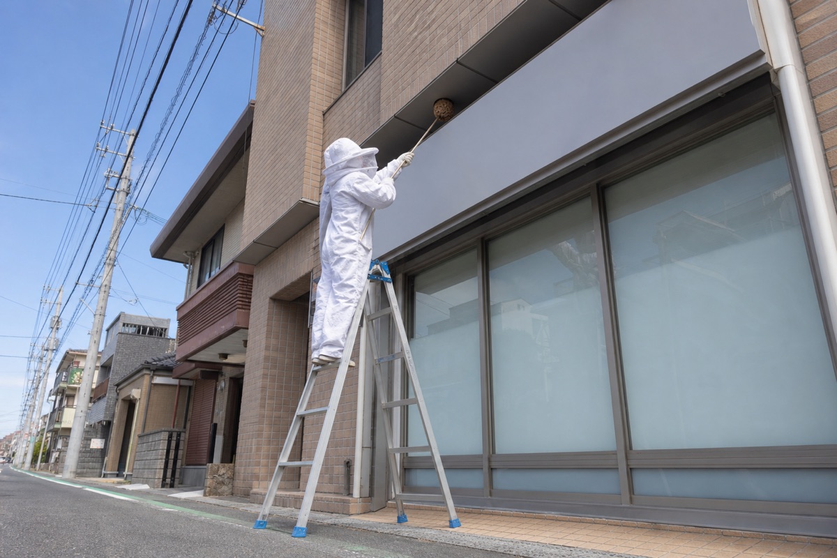 半田市春日町の銀行併用住宅でキイロスズメバチ駆除作業中