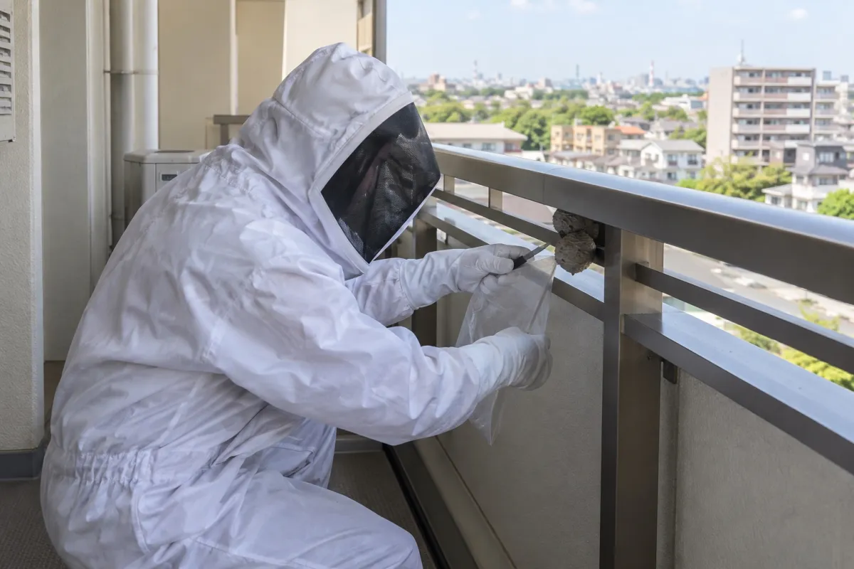碧南市相生町の分譲マンション7Fでアシナガバチ駆除作業中