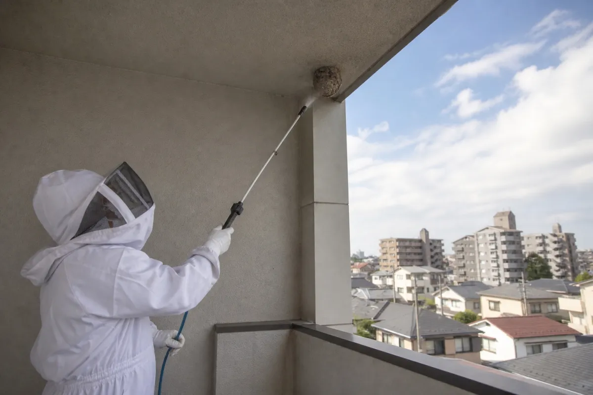 一宮市三条・マンションのスズメバチ駆除事例