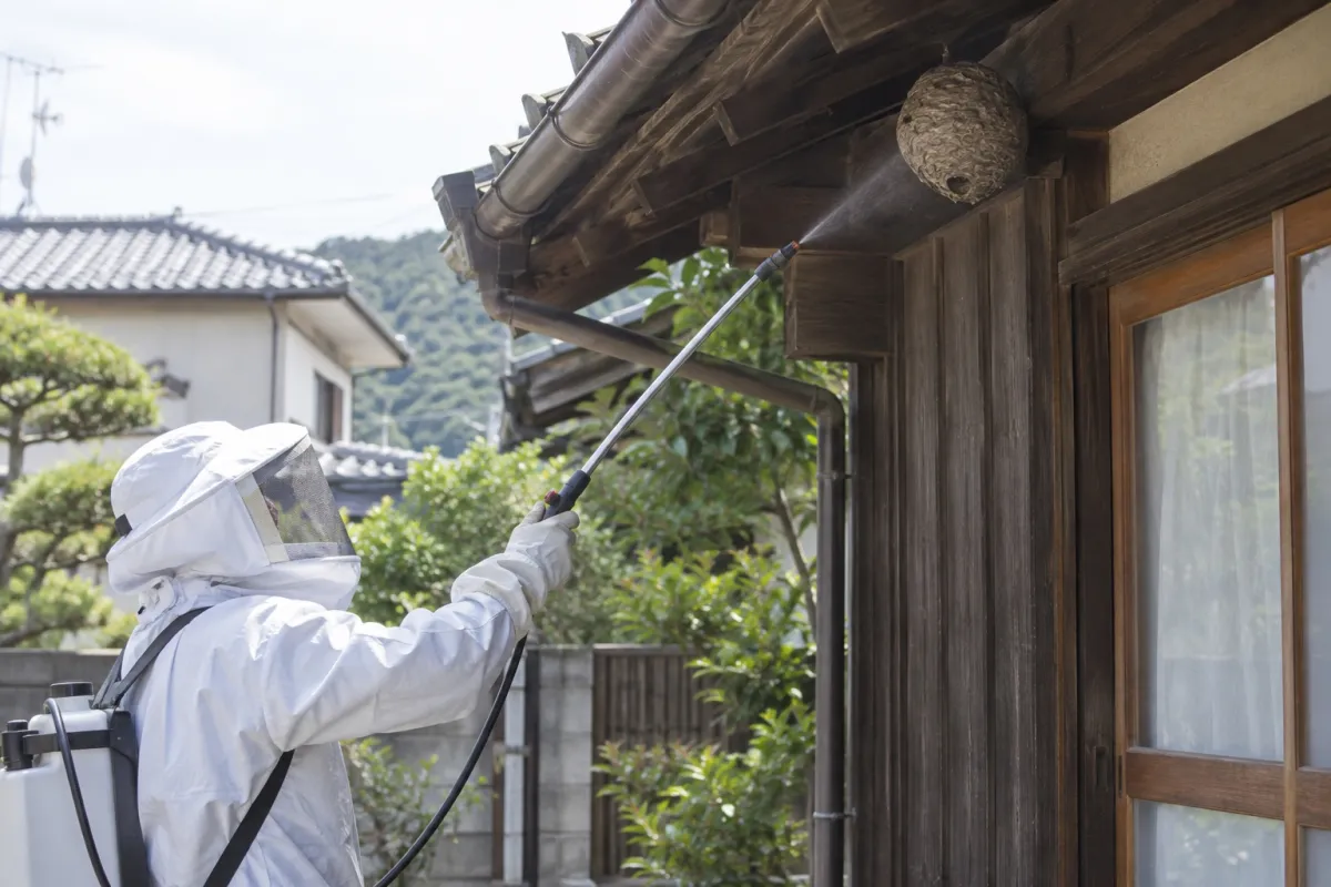一宮市丹陽町の木造一戸建てでスズメバチ駆除作業中