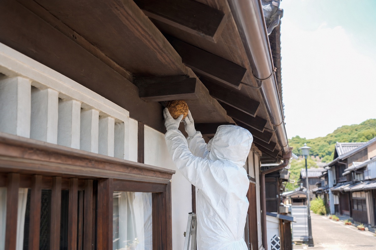 犬山市犬山東古券の城下町住宅でキイロスズメバチ駆除作業中