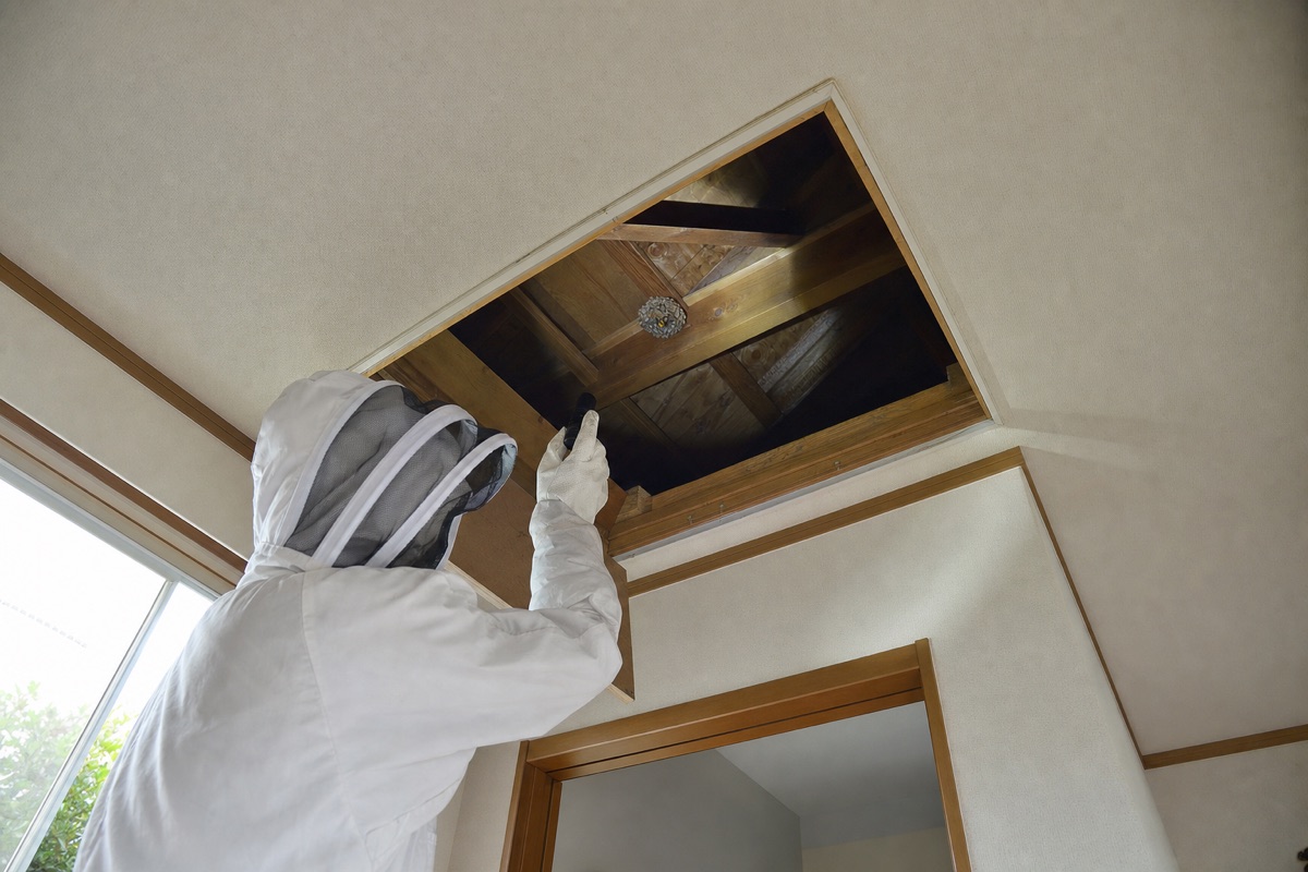 各務原市前野町の住宅街でキイロスズメバチ駆除作業中