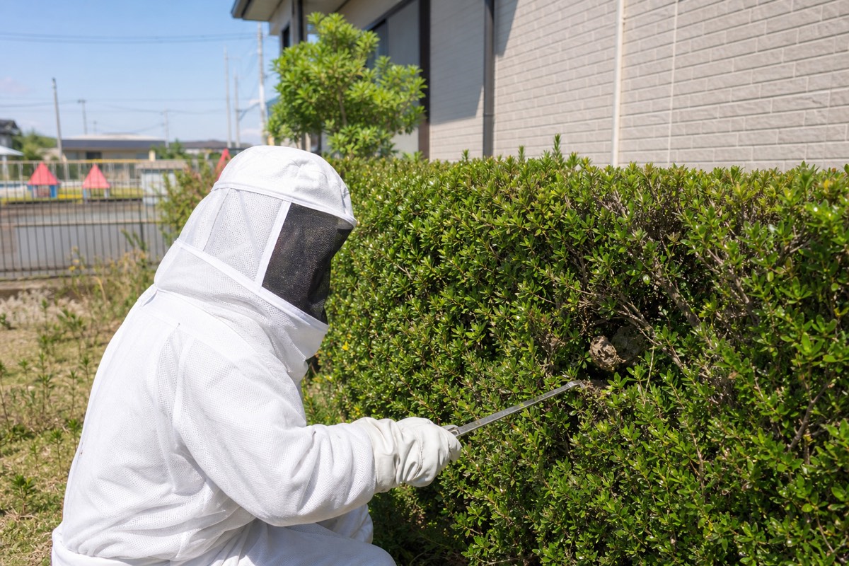 可児市上恵土の保育園隣接住宅でアシナガバチ駆除作業中