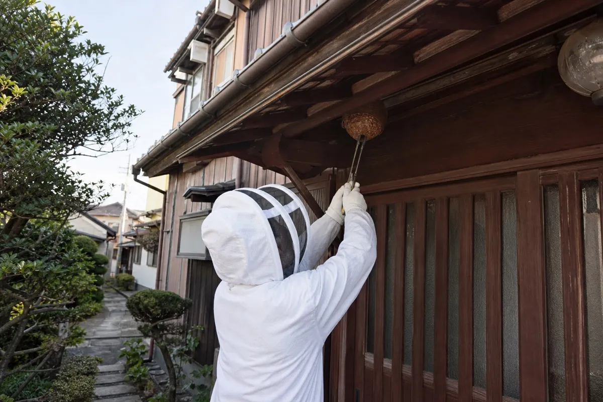名古屋市熱田区伝馬の下町住宅でスズメバチ駆除作業中