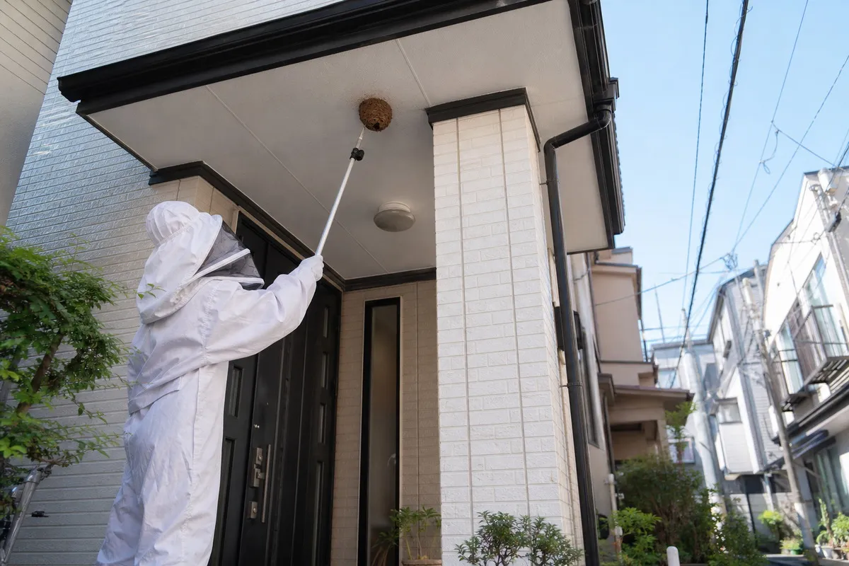 名古屋市熱田区熱田西町の住宅街でキイロスズメバチ駆除作業中