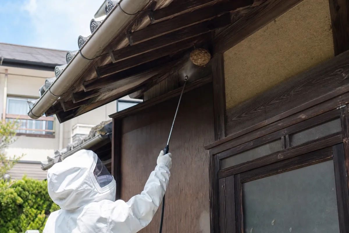 名古屋市熱田区田中町のスズメバチ駆除作業中