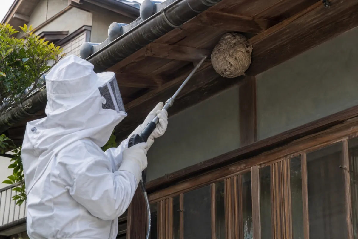 名古屋市熱田区大宝二丁目のスズメバチ駆除作業中