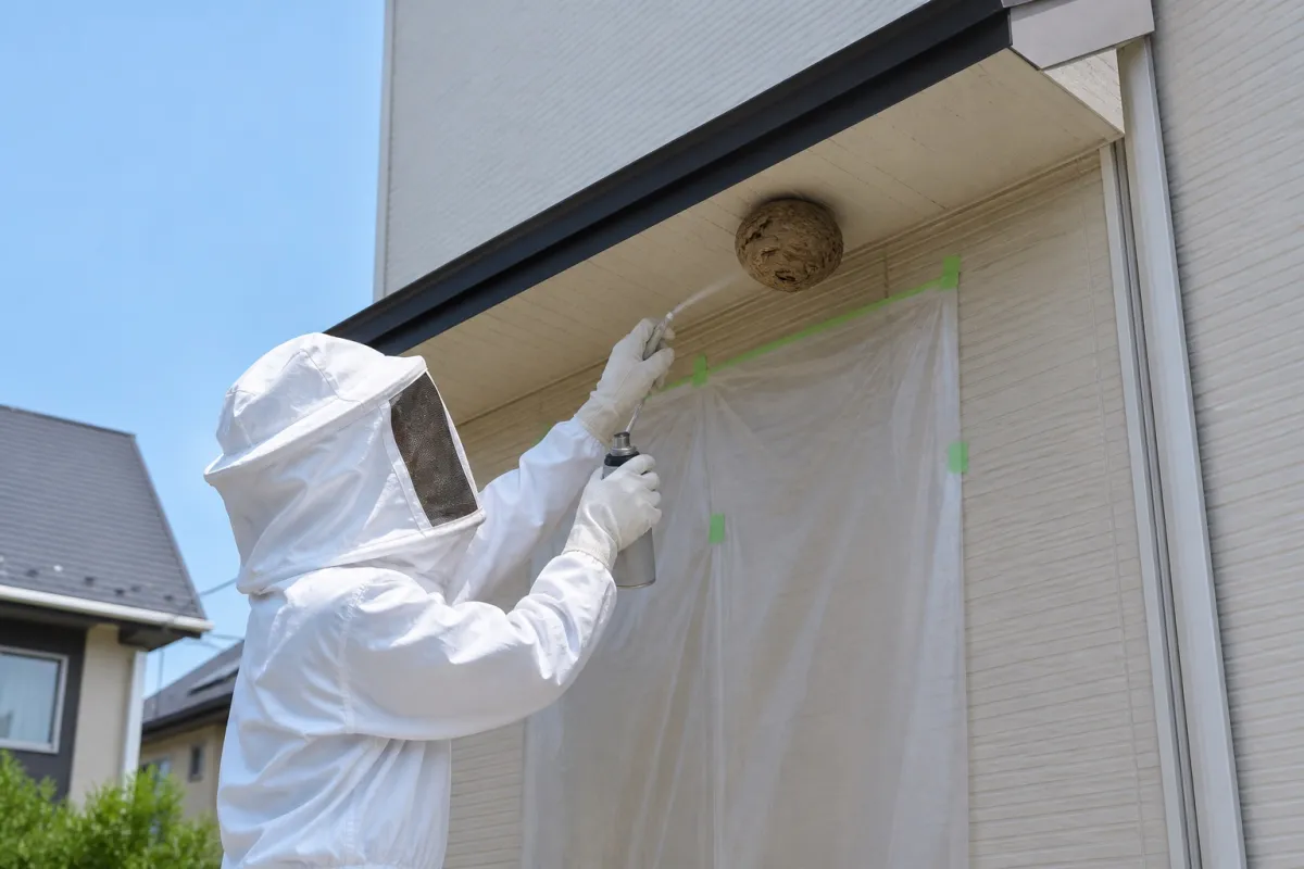 名古屋市熱田区横田のキイロスズメバチ駆除作業中