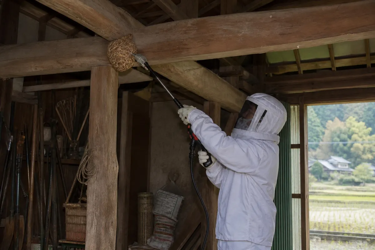 名古屋市熱田区花町のオオスズメバチ駆除作業中