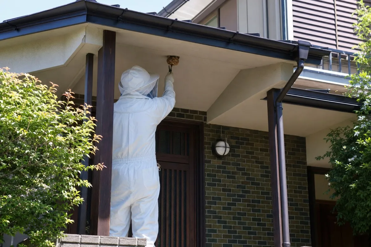 名古屋市千種区自由ヶ丘の住宅街でキイロスズメバチ駆除作業中