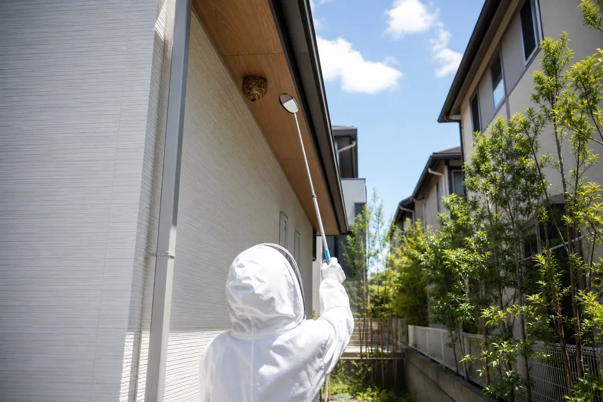 名古屋市千種区光ケ丘の新築住宅でスズメバチ駆除作業中