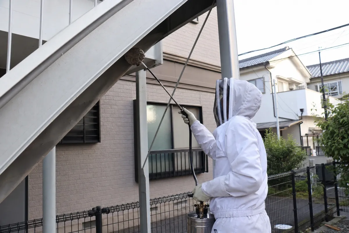 名古屋市千種区高見のアシナガバチ駆除作業中