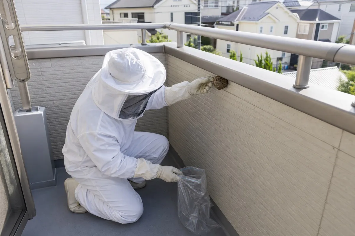 名古屋市東区泉の分譲住宅でアシナガバチ駆除作業中