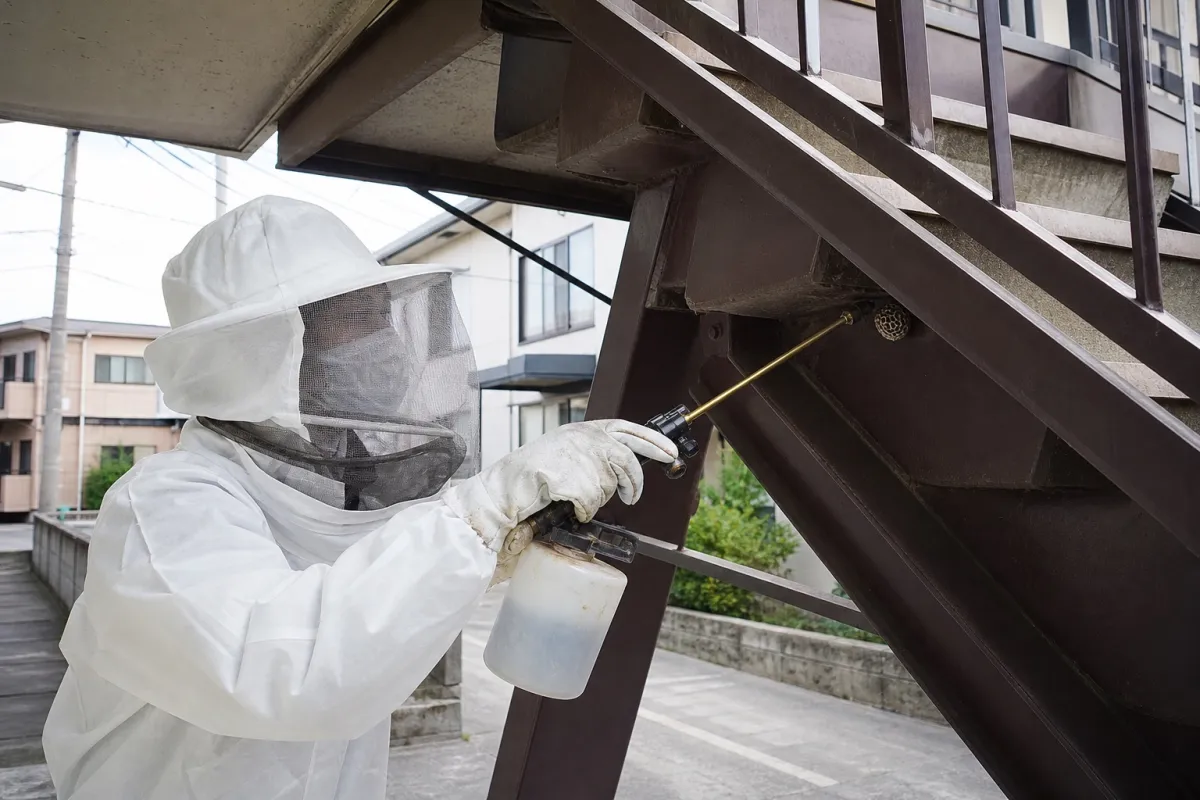 名古屋市東区大幸のアシナガバチ駆除作業中