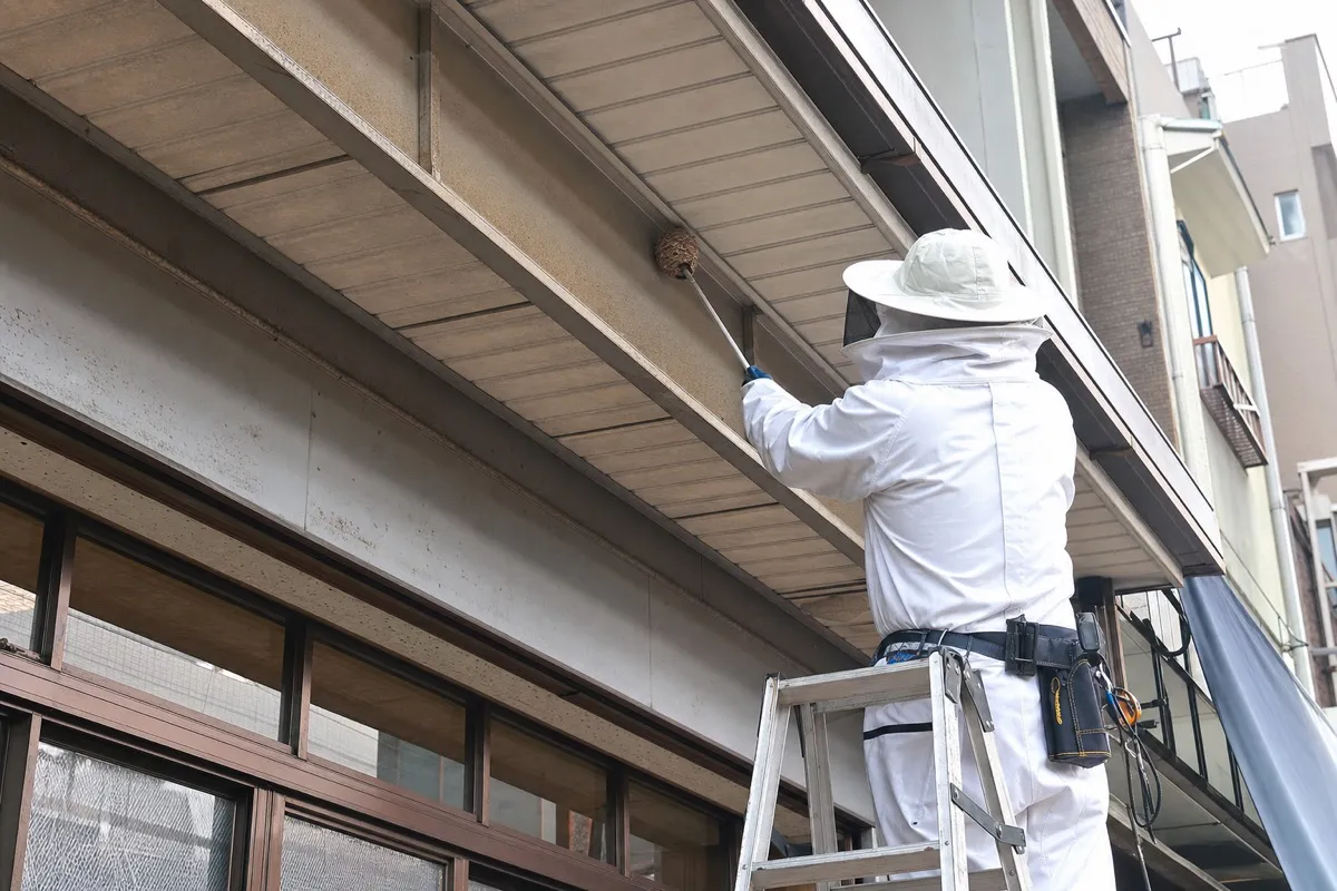 名古屋市北区大曽根の商店街店舗でスズメバチ駆除作業中