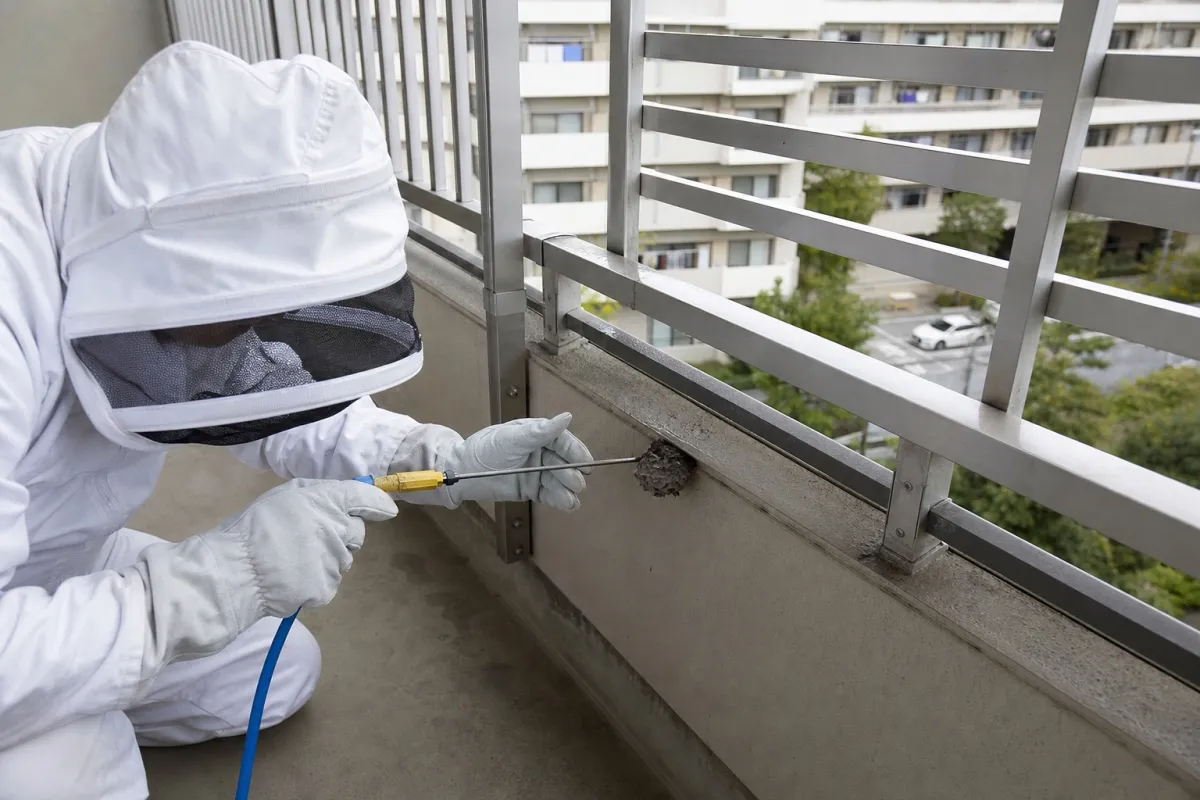 名古屋市北区黒川のアシナガバチ駆除作業中