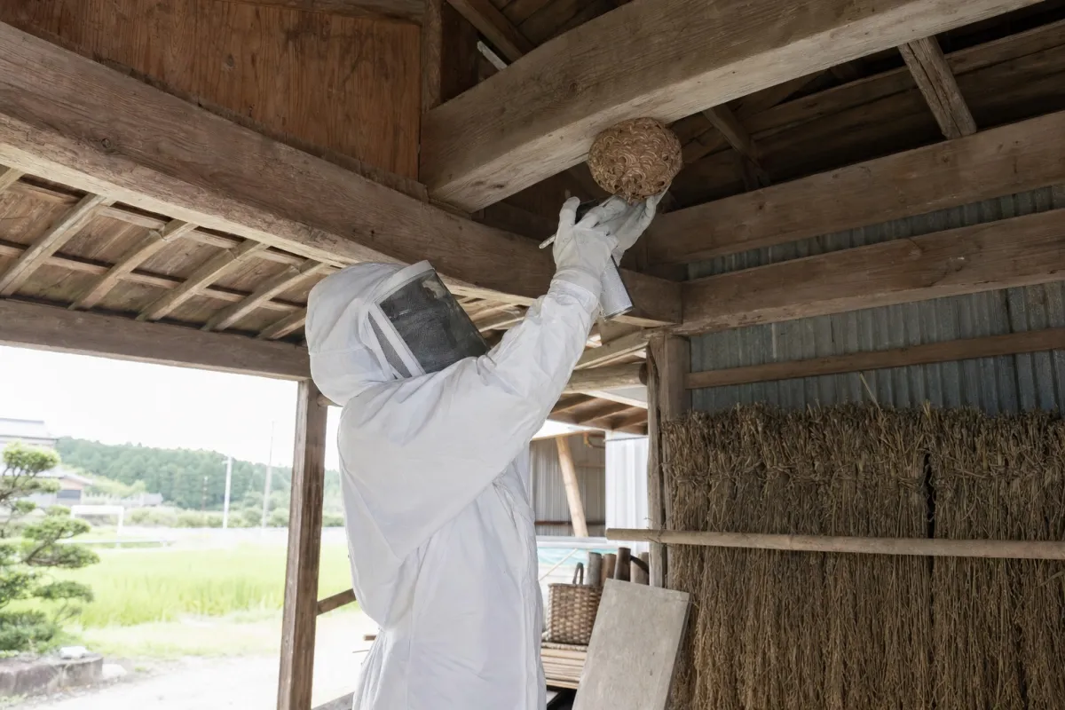 名古屋市北区西味鋺のオオスズメバチ駆除作業中