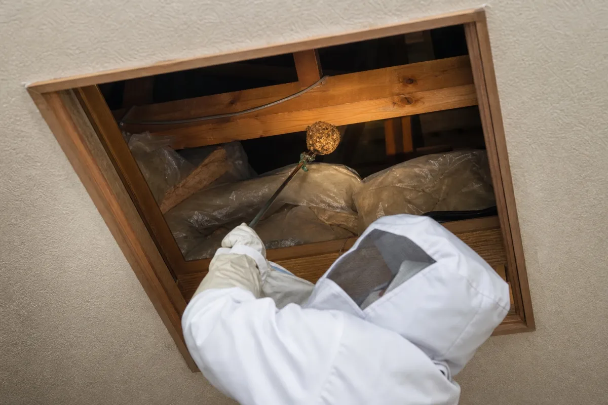 名古屋市北区鳩岡のキイロスズメバチ駆除作業中