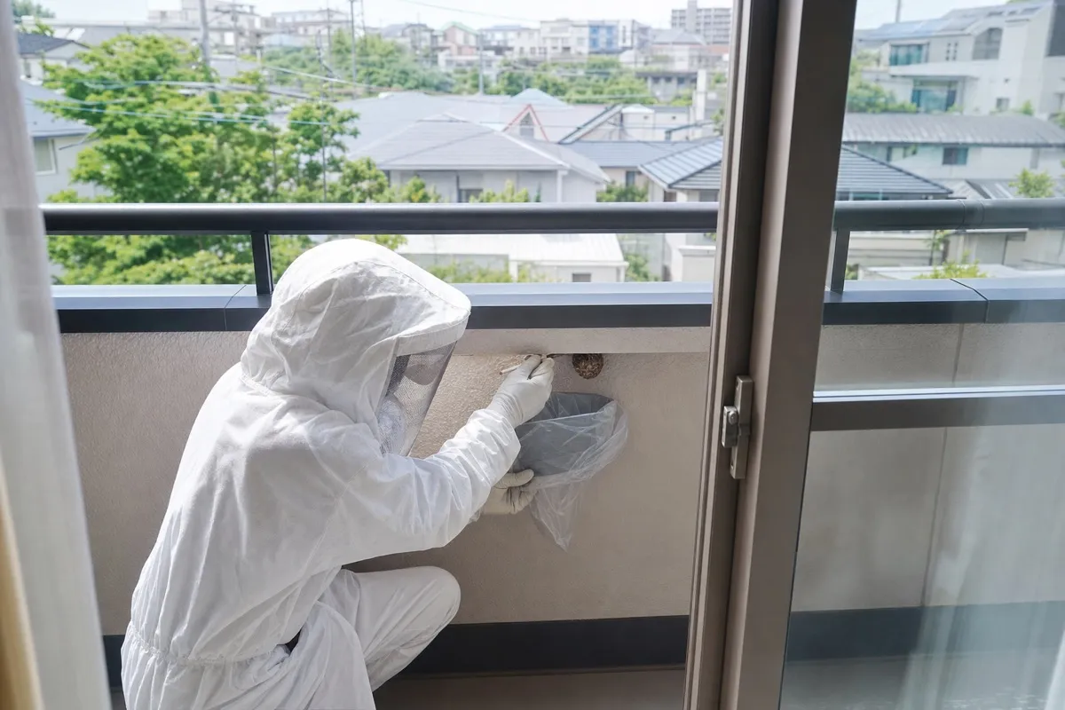 名古屋市名東区上社の分譲住宅でアシナガバチ駆除作業中