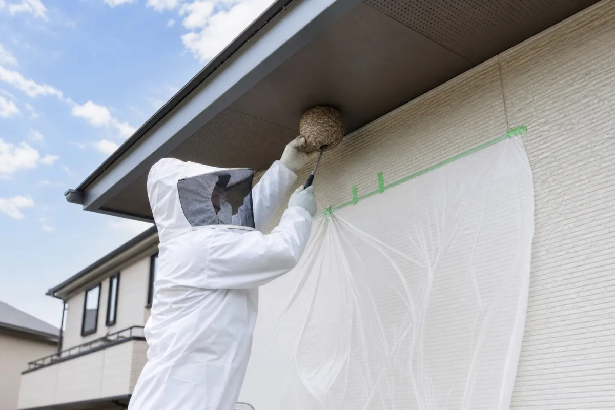 名古屋市名東区若葉台のキイロスズメバチ駆除作業中