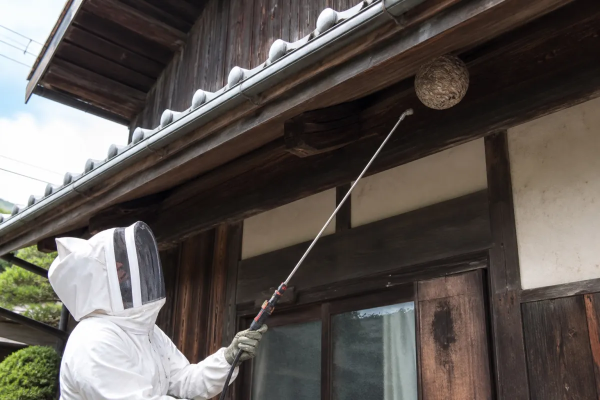 名古屋市名東区新宿のスズメバチ駆除作業中