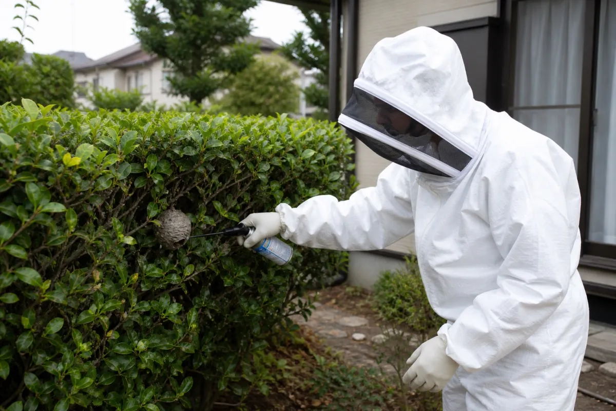 名古屋市名東区文教台のアシナガバチ駆除作業中