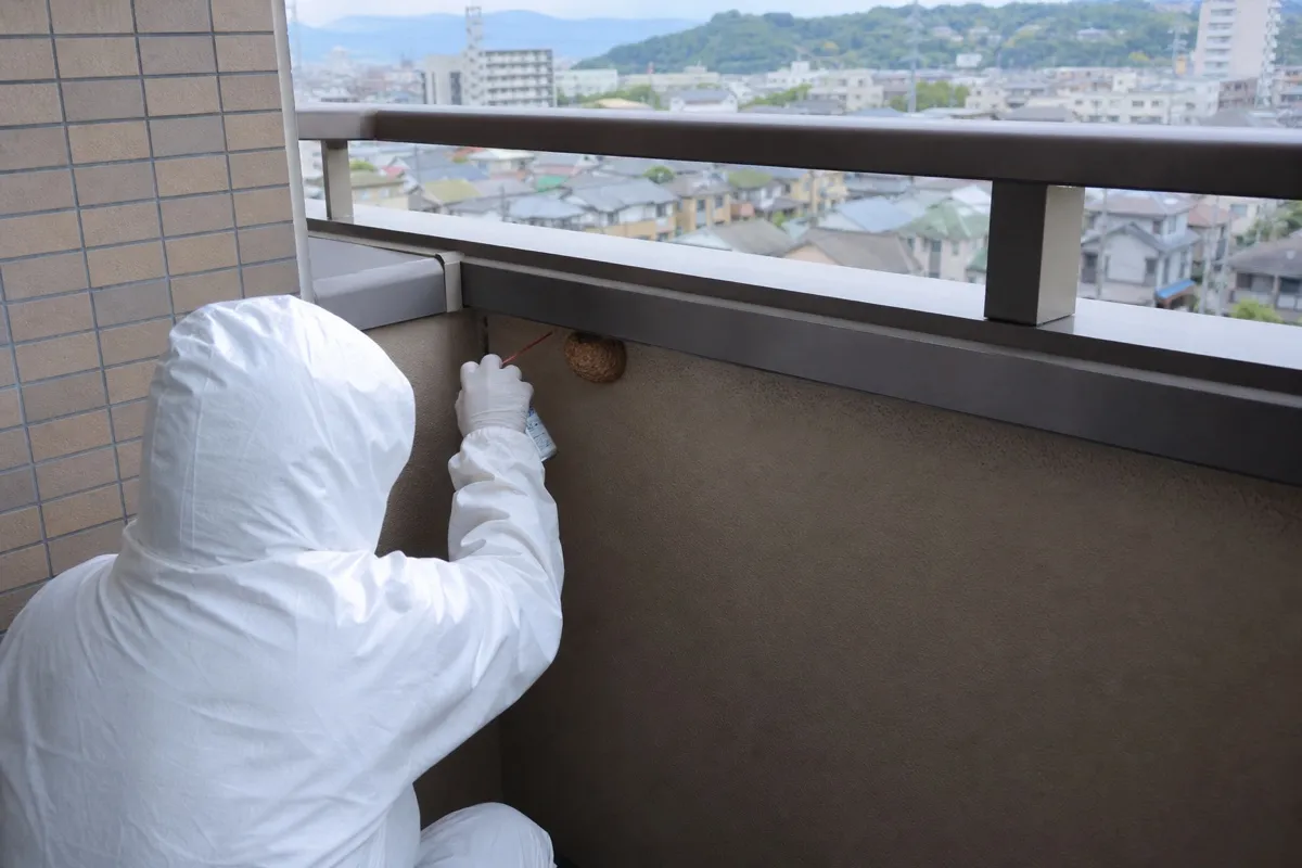 名古屋市緑区篠の風のマンションでスズメバチ駆除作業中