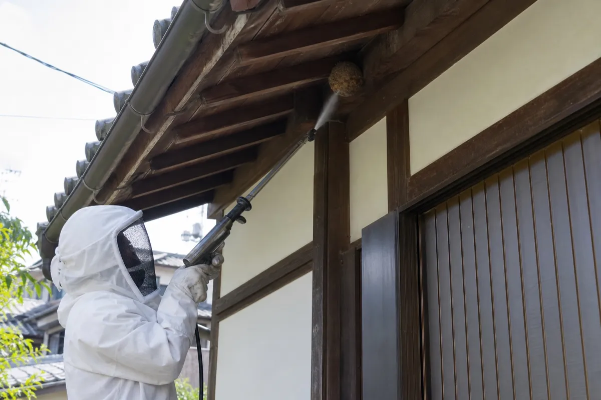 名古屋市緑区有松のスズメバチ駆除作業中