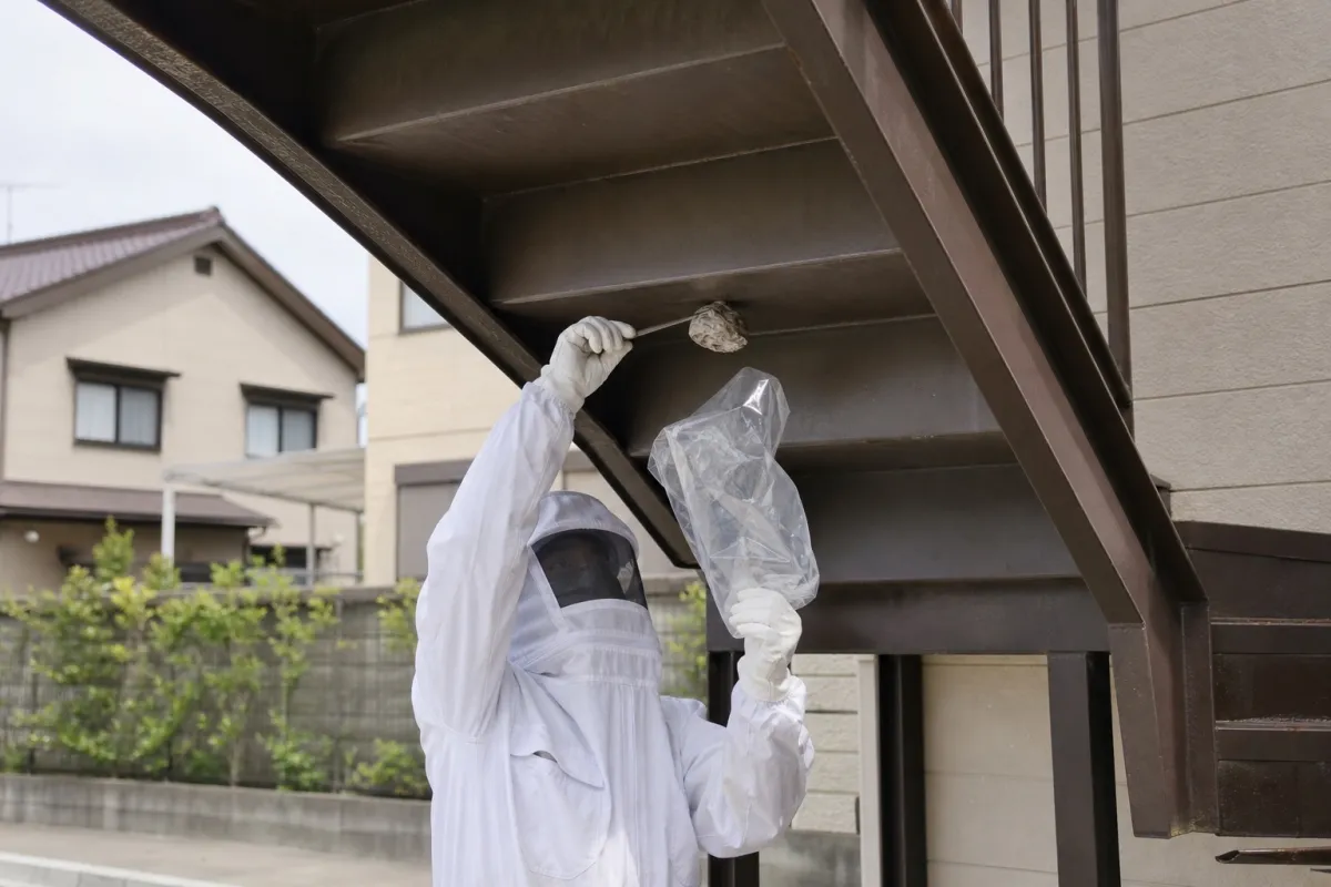 名古屋市緑区平手北のアシナガバチ駆除作業中