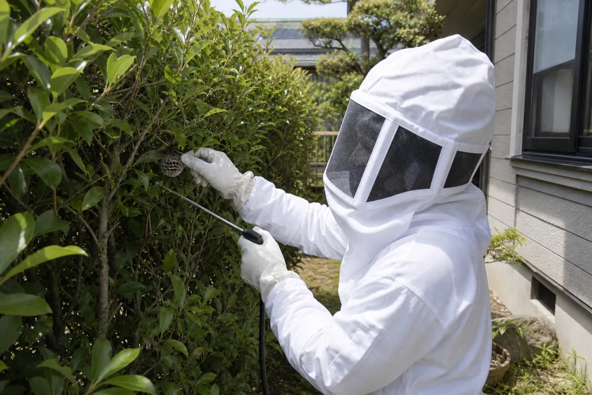 名古屋市緑区野末町のアシナガバチ駆除作業中