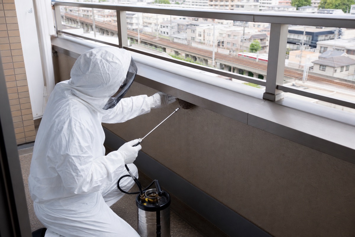 名古屋市南区元塩町のマンションでスズメバチ駆除作業中