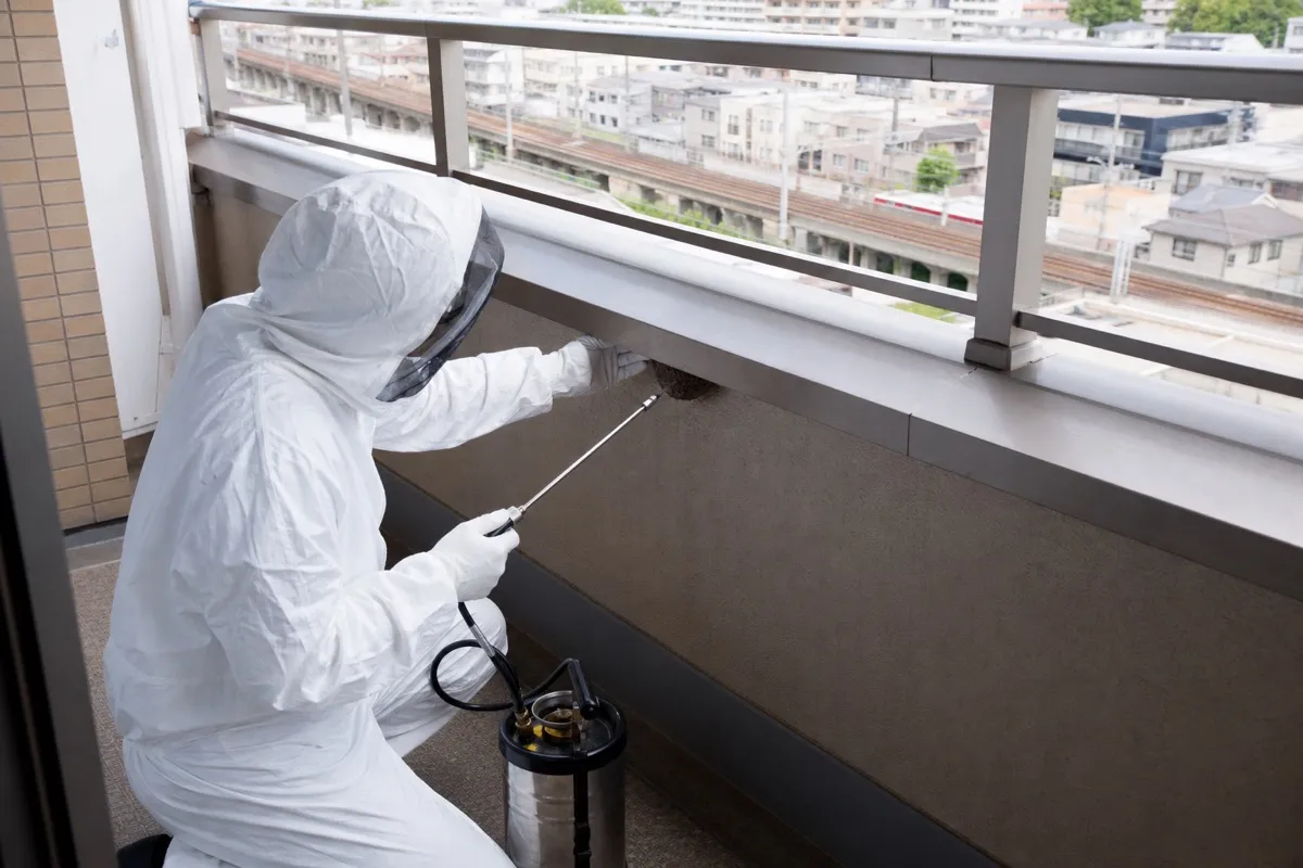 名古屋市南区元塩町のマンションでスズメバチ駆除作業中