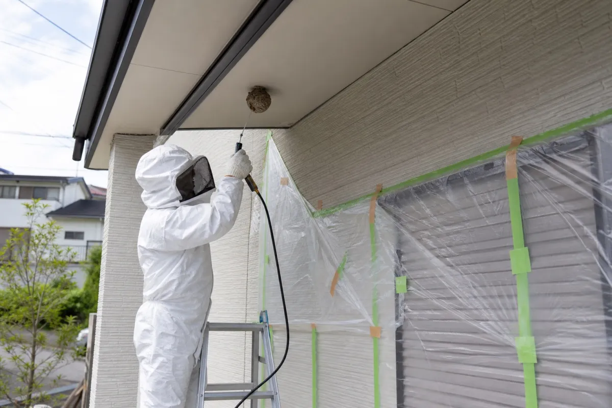 名古屋市南区駈上のキイロスズメバチ駆除作業中