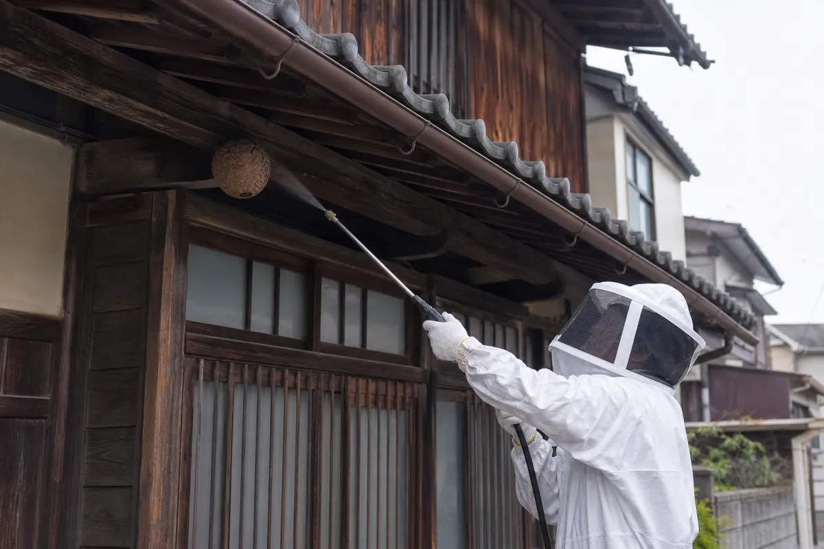 名古屋市南区星崎のスズメバチ駆除作業中