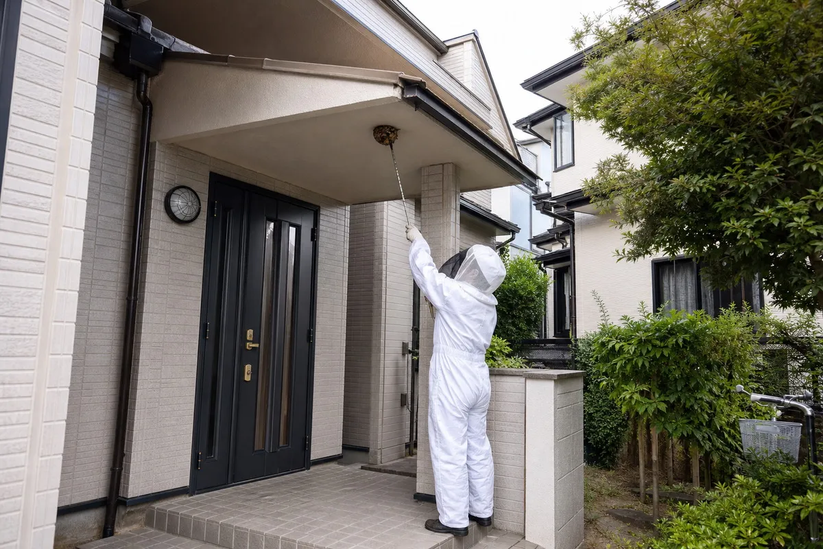 名古屋市港区十一屋の住宅街でキイロスズメバチ駆除作業中