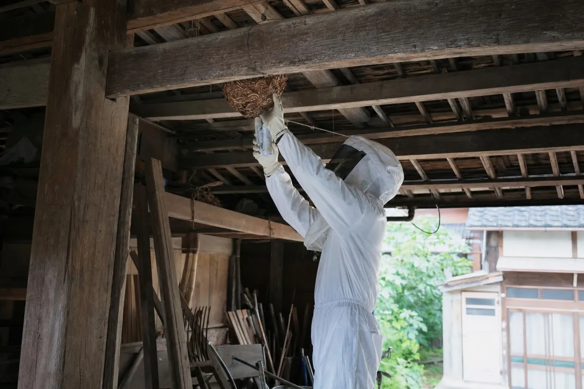 名古屋市港区油屋町のオオスズメバチ駆除作業中