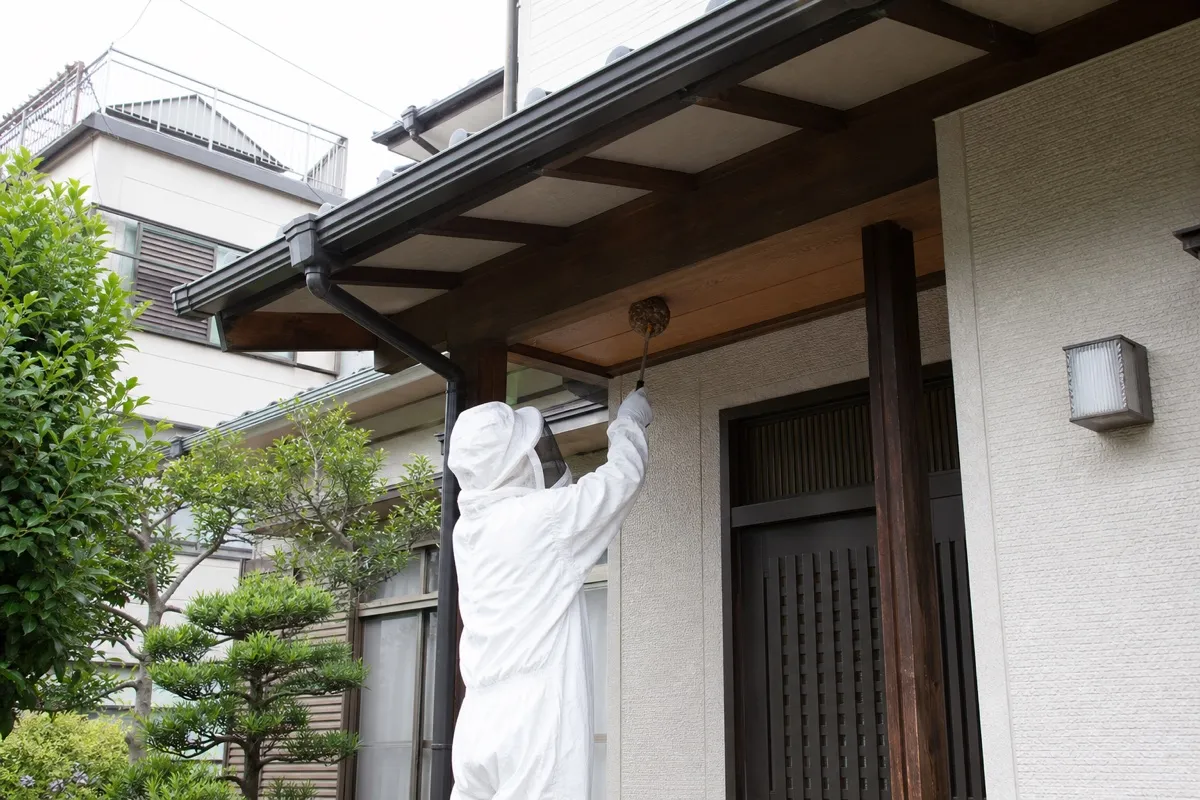 名古屋市瑞穂区堀田通の住宅街でスズメバチ駆除作業中