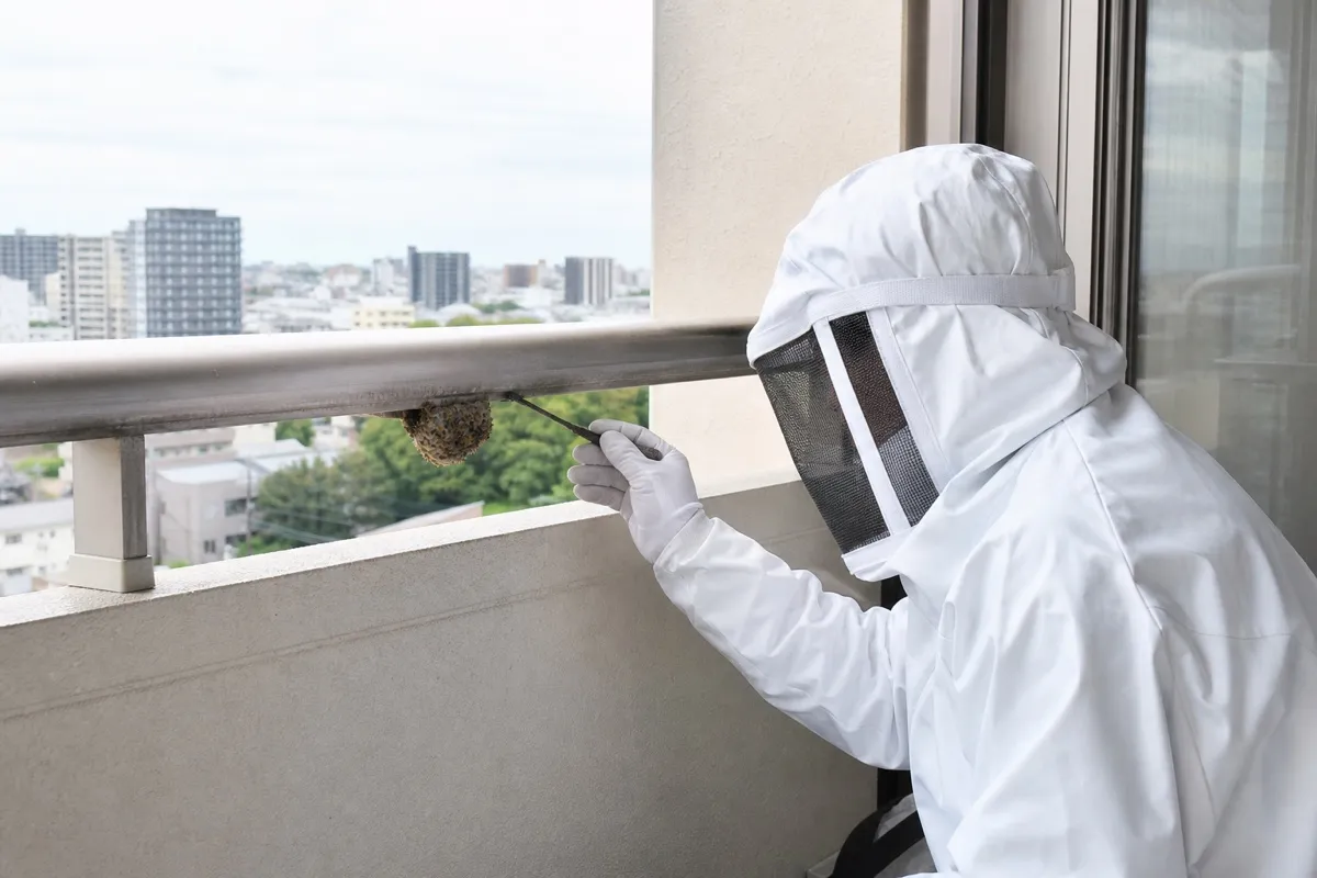名古屋市瑞穂区弥富通の分譲マンションでアシナガバチ駆除作業中