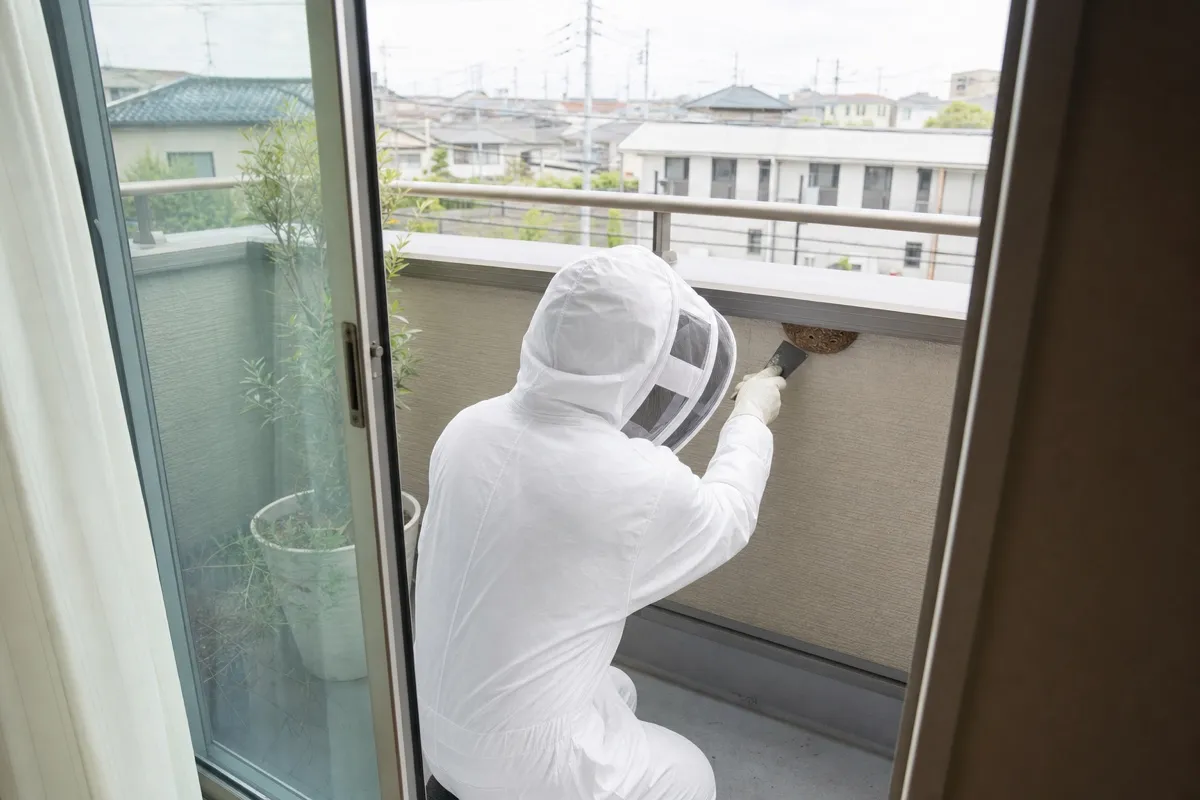 名古屋市瑞穂区妙音通の分譲住宅でアシナガバチ駆除作業中