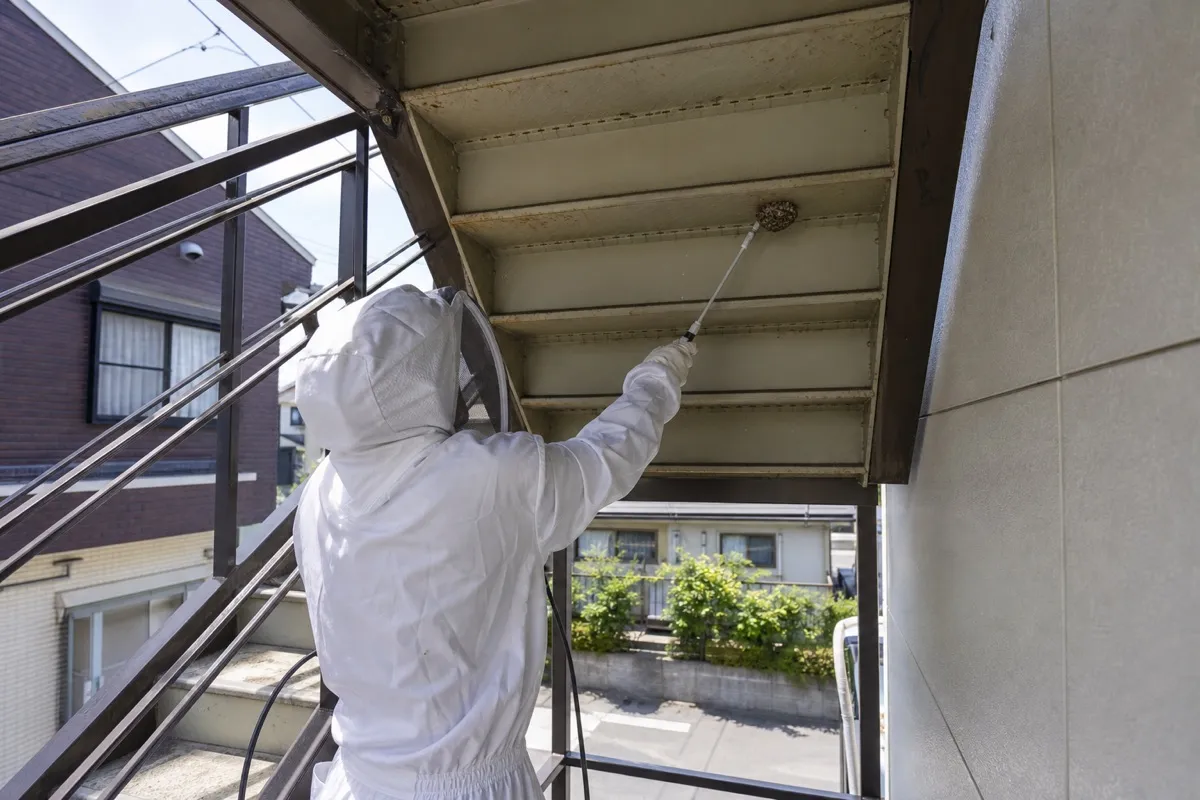 名古屋市瑞穂区八勝通のアパートでアシナガバチ駆除作業中