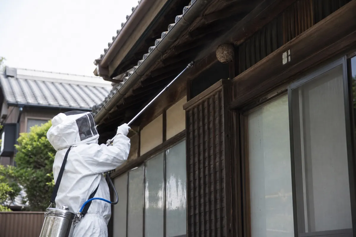 名古屋市瑞穂区土市町のスズメバチ駆除作業中