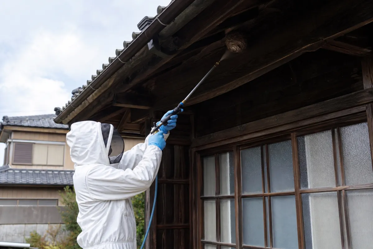 名古屋市守山区大森のスズメバチ駆除作業中