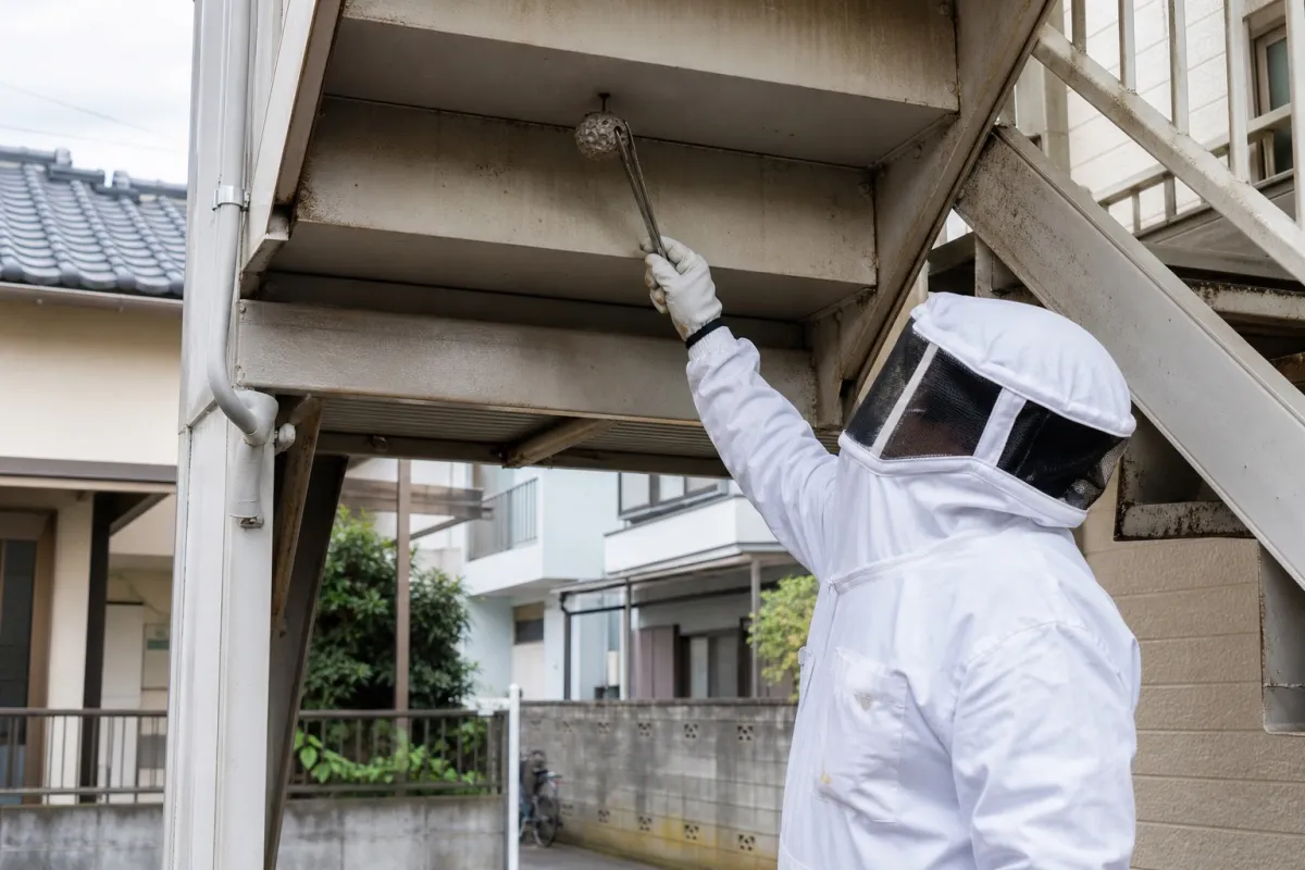 名古屋市守山区川宮町のアシナガバチ駆除作業中