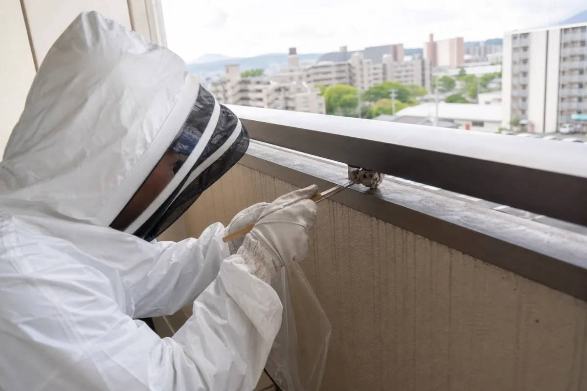 名古屋市守山区八剣のアシナガバチ駆除作業中