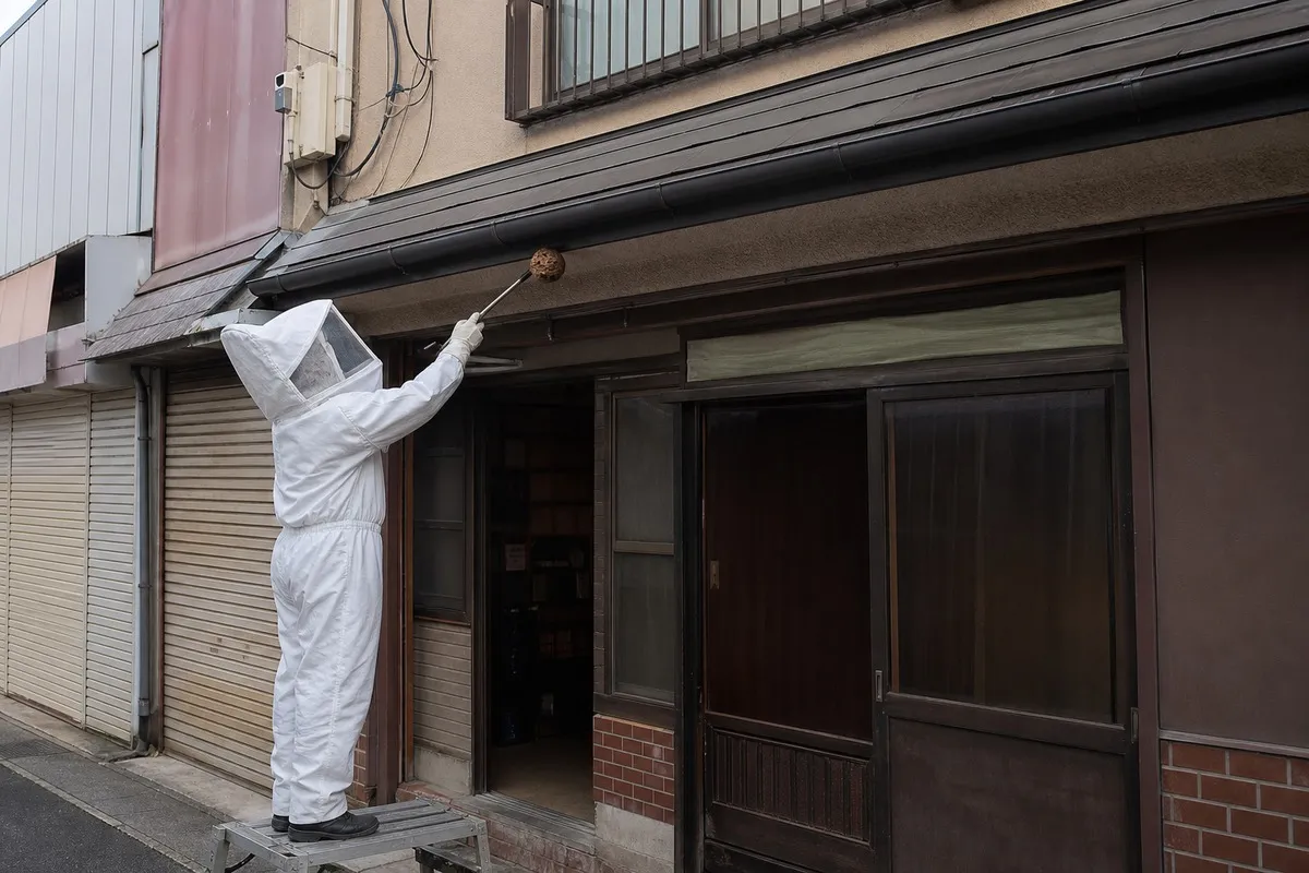 名古屋市中区大須の商店街店舗でスズメバチ駆除作業中