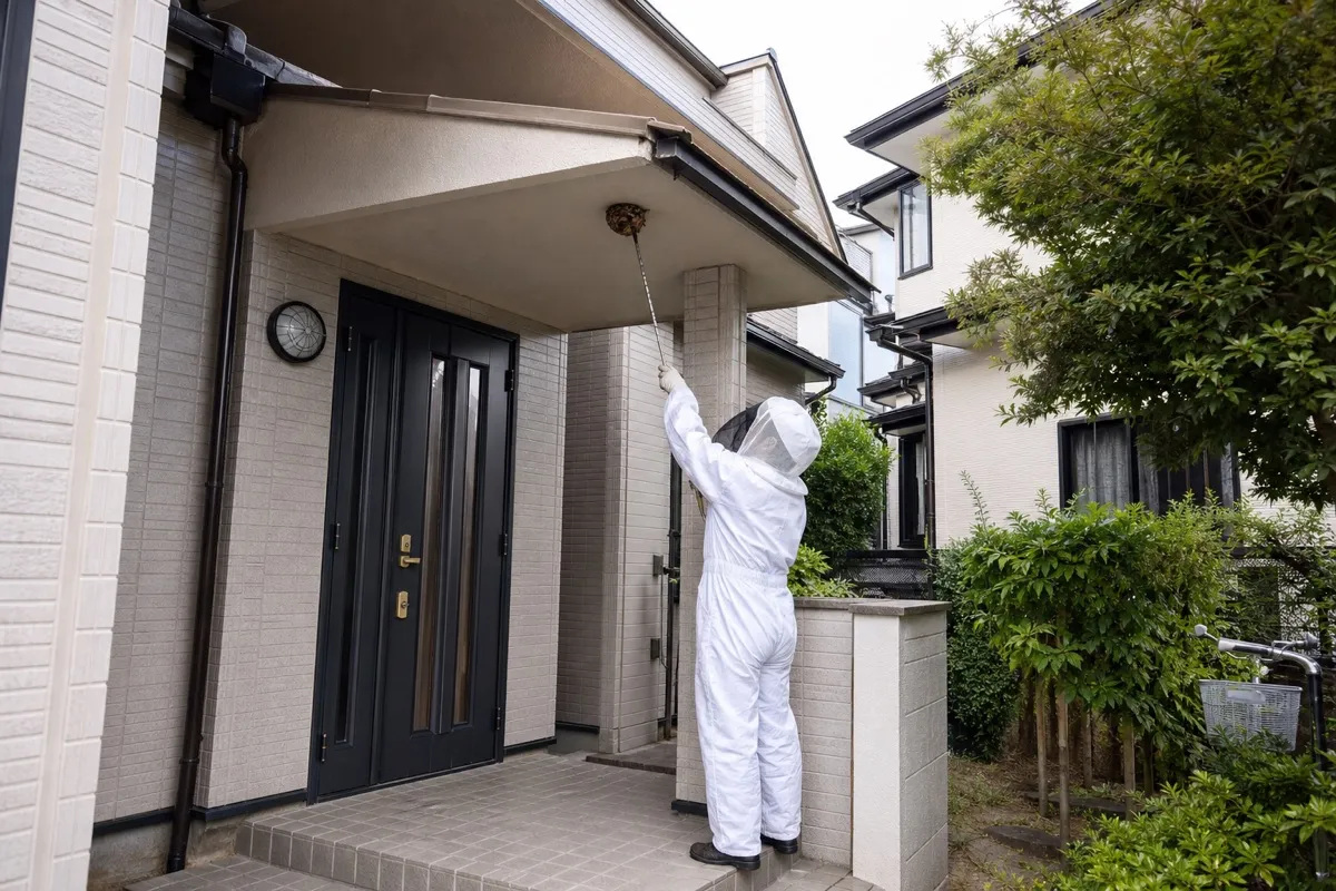 名古屋市中区平和の住宅街でキイロスズメバチ駆除作業中